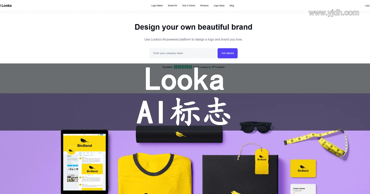 Looka官网AI Logo与品牌设计平台首页截图