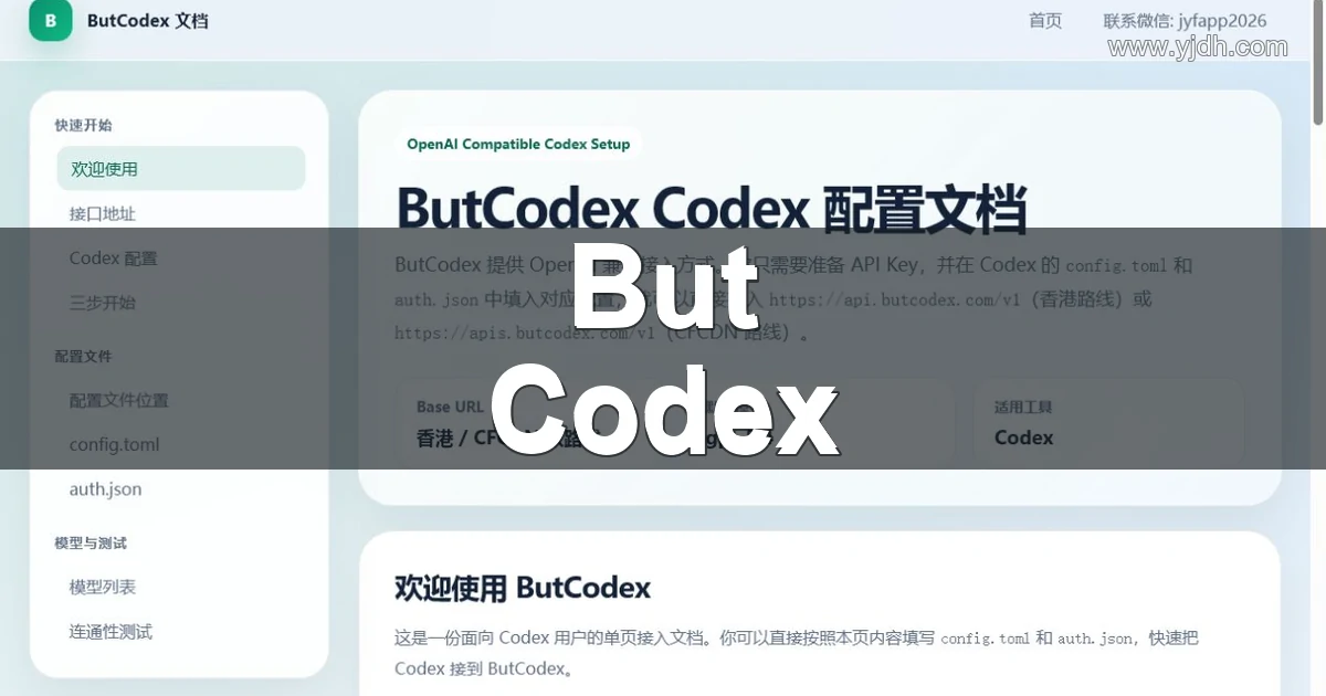Butcodex官方文档中的Codex配置与双线路接入页面