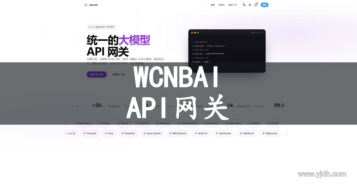 WCNBAI New API官网首页截图