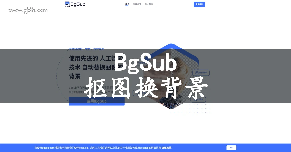 BgSub图片抠图与背景替换工具页面图
