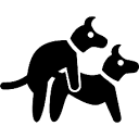 狗操的 AI – API网关