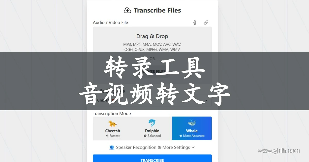 TurboScribe 音视频文件转录工具的上传与转写设置界面