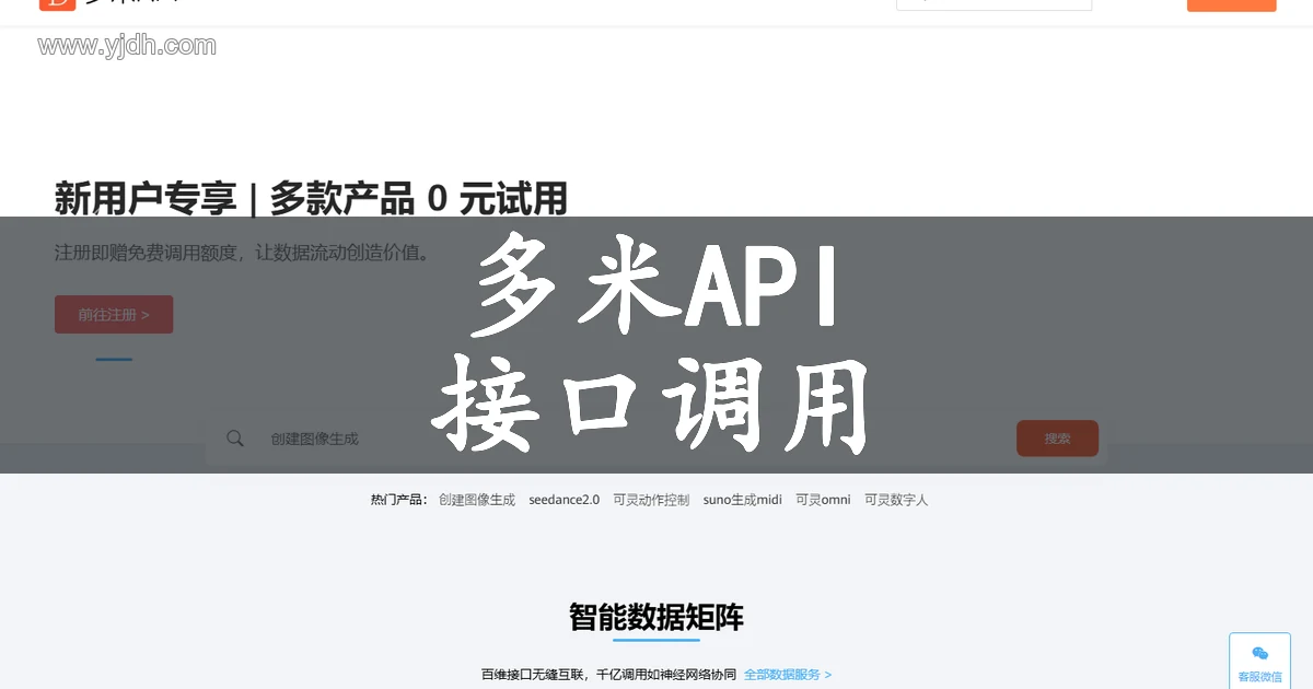 多米API首页截图,展示接口调用与在线调试能力