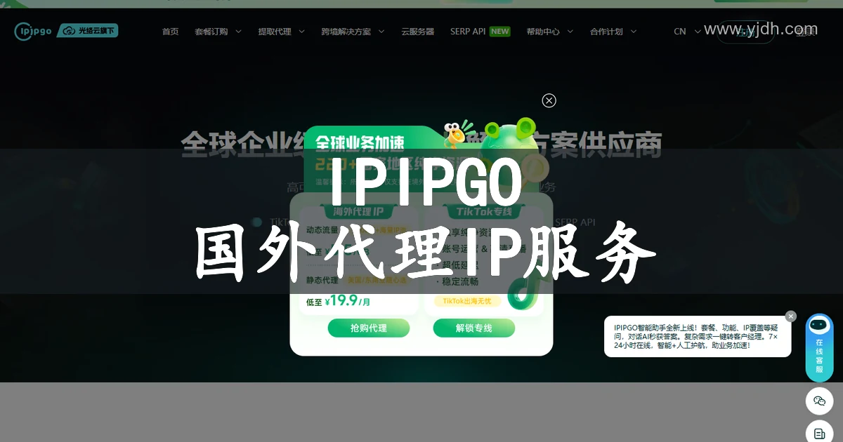 IPIPGO官方首页截图,展示国外代理IP服务、动态住宅、静态住宅、数据中心代理和API提取等能力