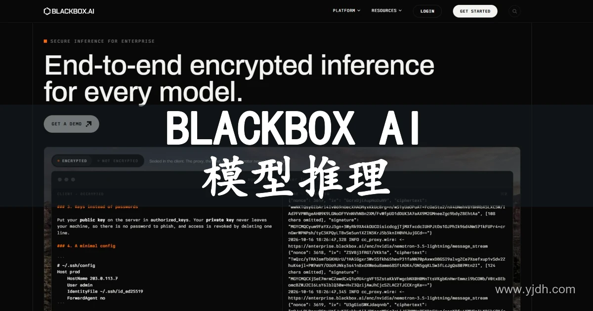 BLACKBOX AI官网首页,展示模型推理定位与产品功能入口。