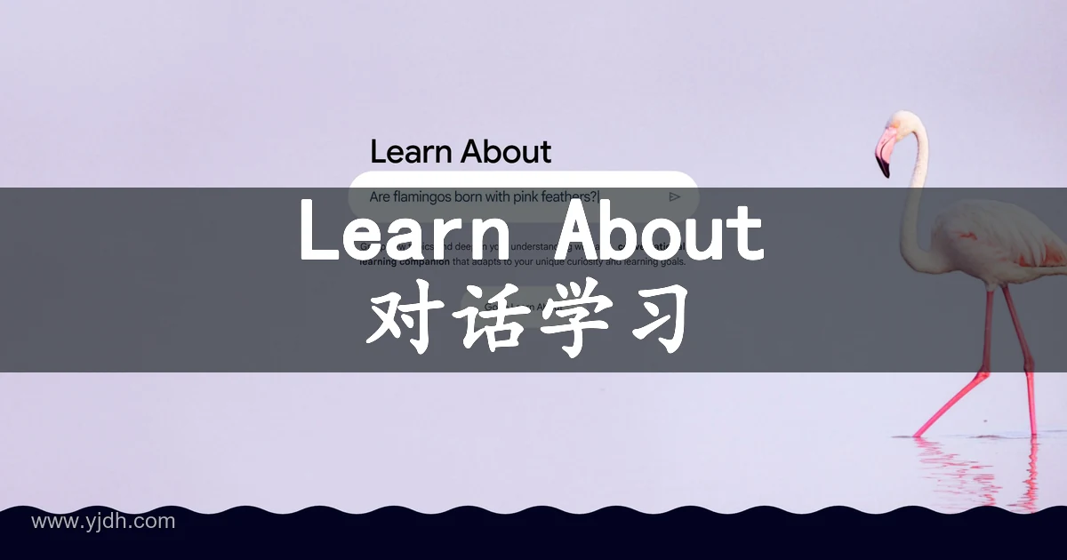 Learn About官网公开页面，展示对话学习及相关服务入口