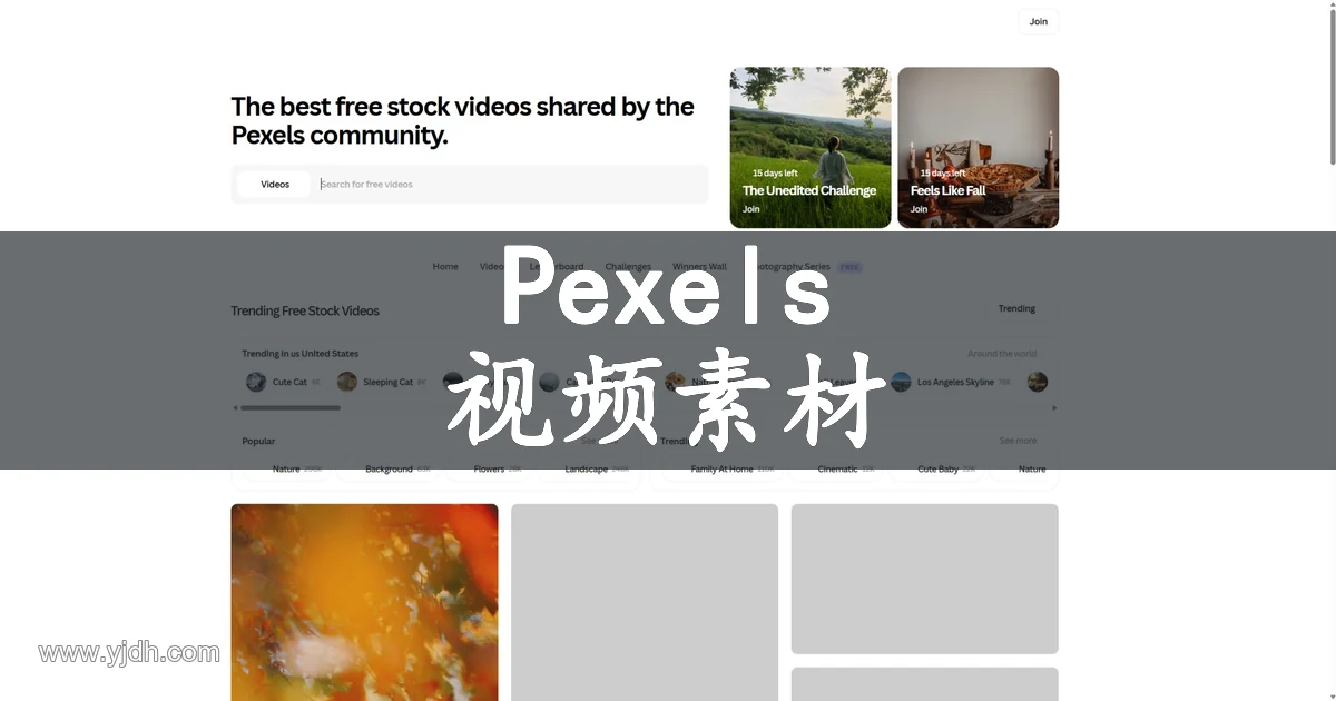 Pexels官网公开页面,展示视频素材及相关服务入口